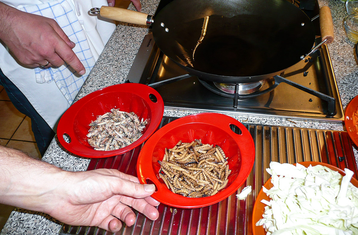 Insekten Kochkurs Schwetzingen Schwetzingen Kochkurse in der Nähe online kaufen Insekten Kochkurs Schwetzingen Schwetzingen Kochkurse in der Nähe online kaufen